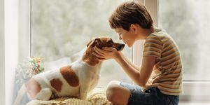 Giornata mondiale del cane