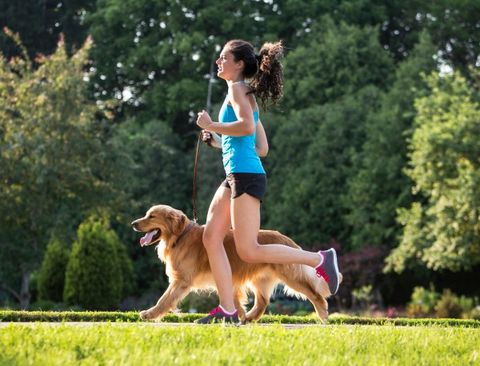 cani e esercizio fisico