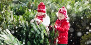 Crea l’atmosfera scegliendo l’albero di Natale giusto per la tua casa