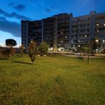 Recensione Xiaomi 12 fotocamera