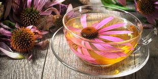 Echinacea: tutti i benefici della pianta che sostiene le difese immunitarie