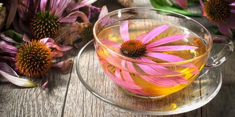 Echinacea integratori e tisane
