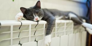 Radiatori per la casa come funzionano