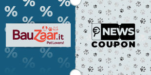 Offerta Bauzaar per nuovi clienti: sconto e spedizione gratuita
