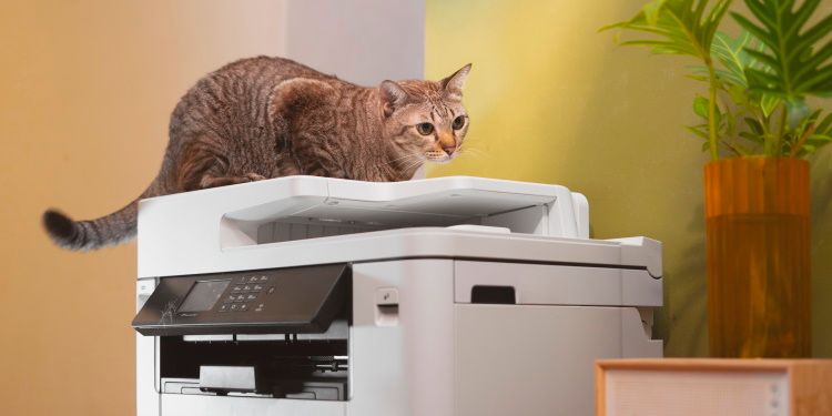 La stampante migliore per la casa e per l'ufficio: come trovarla