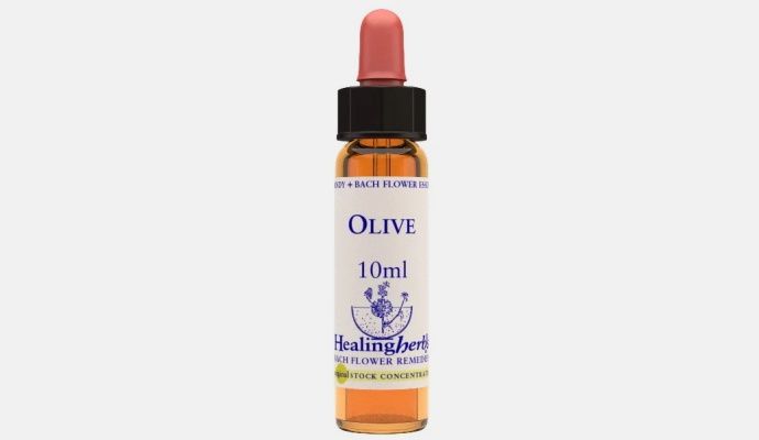 Natur Fiori di Bach Healing Herbs Olive