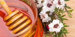 Miele di Manuka: tutte le proprietà e i benefici del miele che viene da lontano