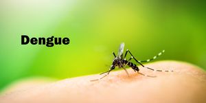 Dengue sintomi e cura