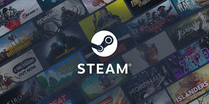 Steam store online PC