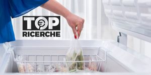 Top 10 congelatori Trovaprezzi.it