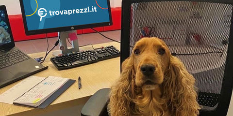 Giornata del cane in ufficio Trovaprezzi