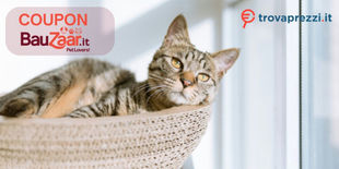 Quali Coupon Bauzaar utilizzare su Trovaprezzi.it