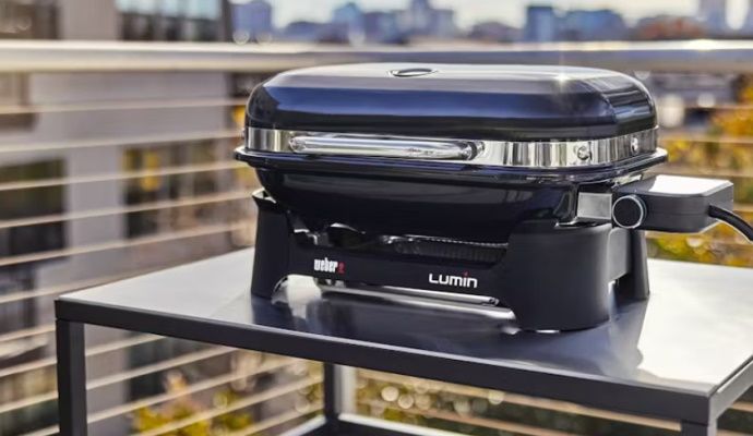 Weber Lumin