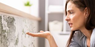 Come eliminare la muffa dai muri di casa ed evitare che ritorni