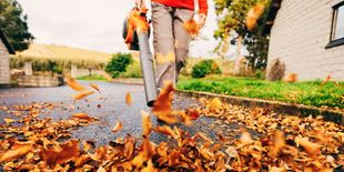 I migliori aspirafoglie: come scegliere quello giusto?