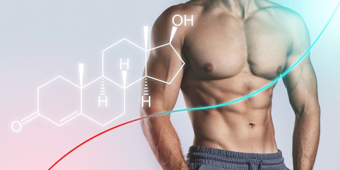 Testosterone integratori per aumentarlo