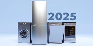 Bonus elettrodomestici 2025: come funziona e come richiederlo