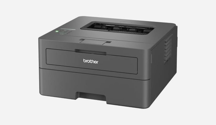 Brother HL-L2400DWE