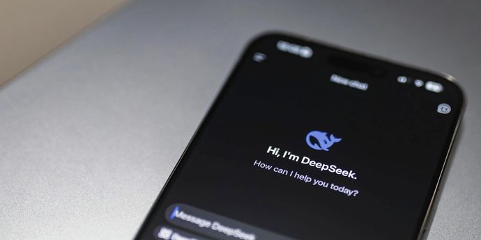 DeepSeek