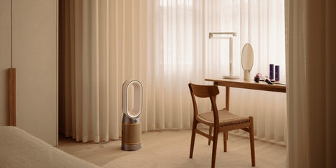 Dyson Purifier Hot+Cool HP2 De-NOx