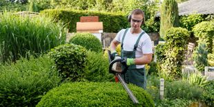 Il giardino ha trovato un amico: i 5 migliori tagliasiepi elettrici