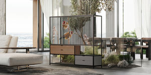 LG Transparent OLED Signage 55