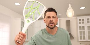 Antizanzare elettrici per interno e per giardino: tutte le tipologie per ogni esigenza