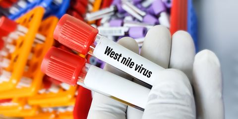 West Nile sintomi e prevenzione