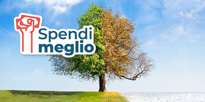 Un albero al centro di un prato mostra le quattro stagioni: foglie verdi, gialle e rami spogli su sfondo di cielo azzurro.
