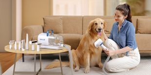 La toelettatura diventa smart grazie a queste soluzioni di OneIsAll