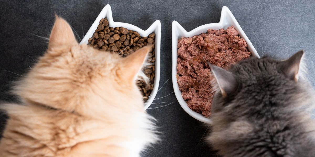 Essiccante Sostuo Da 10 Confezioni Da 20 Grammi Per Tutte Le Mangiatoie Per Cani E Gatti, Essiccante In Gel Di Silice Per La Conservazione, Essiccante Alimentare Sicuro