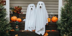 Halloween 2025: costumi e maschere per la festa più spaventosa dell’anno