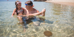 Meduse, zanzare e insetti: i migliori prodotti da portare in vacanza