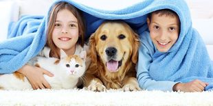 Speciale Animali: guida all’acquisto dei migliori prodotti per cane e gatto