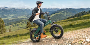 migliori e-bike ENGWE