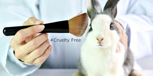 Guida ai cosmetici cruelty free: come riconoscerli e quali scegliere