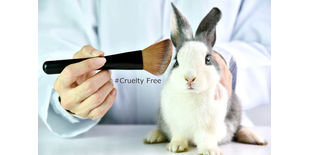 Guida ai cosmetici cruelty free: come riconoscerli e quali scegliere