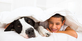 Riposare bene per sentirsi in forma: guida ai migliori materassi in commercio