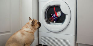 Bucato senza macchie né stress: guida all’acquisto della lavatrice