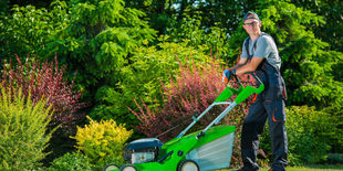 Cura del giardino: guida all’acquisto del rasaerba giusto per ogni prato