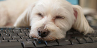 Comodità, precisione e resistenza: guida all’acquisto delle migliori tastiere