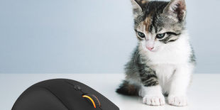 Precisione e comfort: guida all’acquisto dei migliori mouse in commercio