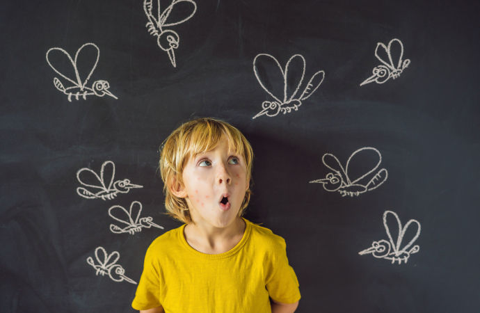 prodotti puntura zanzare prodotti puntura zanzare