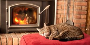 Stufe e camini: i tanti volti del comfort domestico nella nostra guida