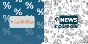 Coupon AquaZooMania: 8% di sconto sui laghetti da giardino