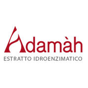 Logo Adamah