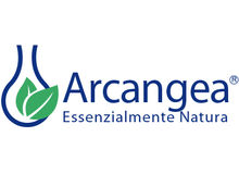 Logo Arcangea