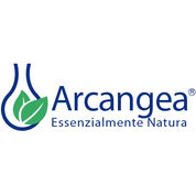 Logo Arcangea