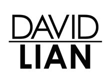Logo David Lian