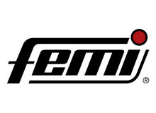 Logo Femi